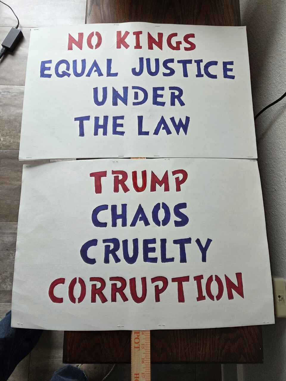 Attending the No Kings protest June 14th.     https://www.nokings.org/