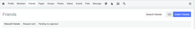 Friends page